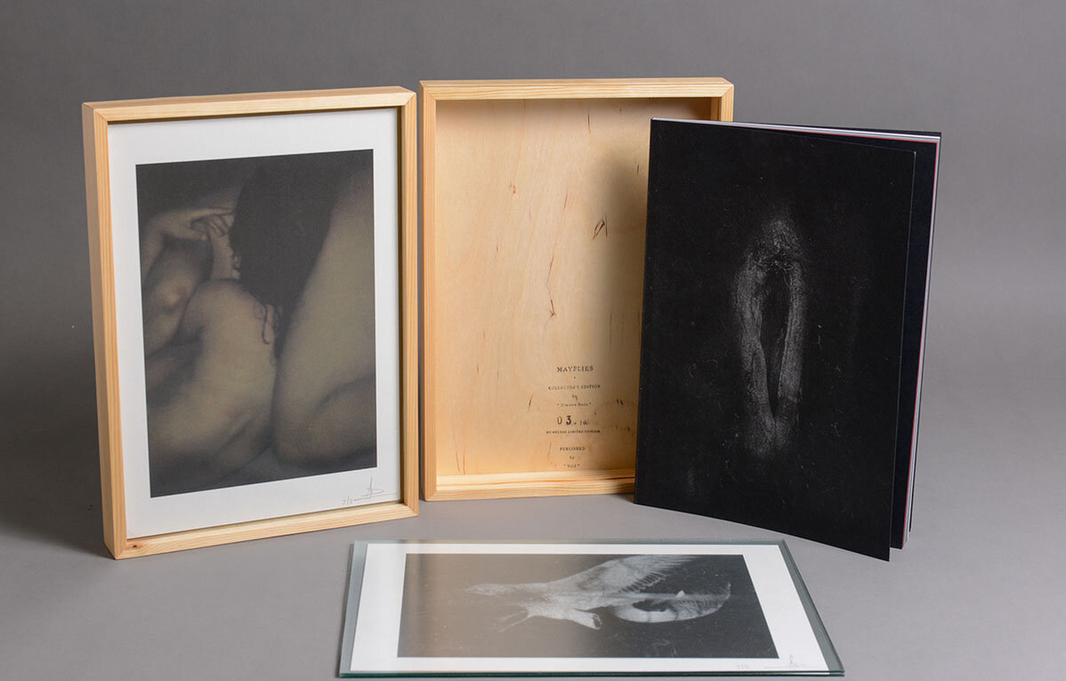 Mayflies book Dimitra Dede 
