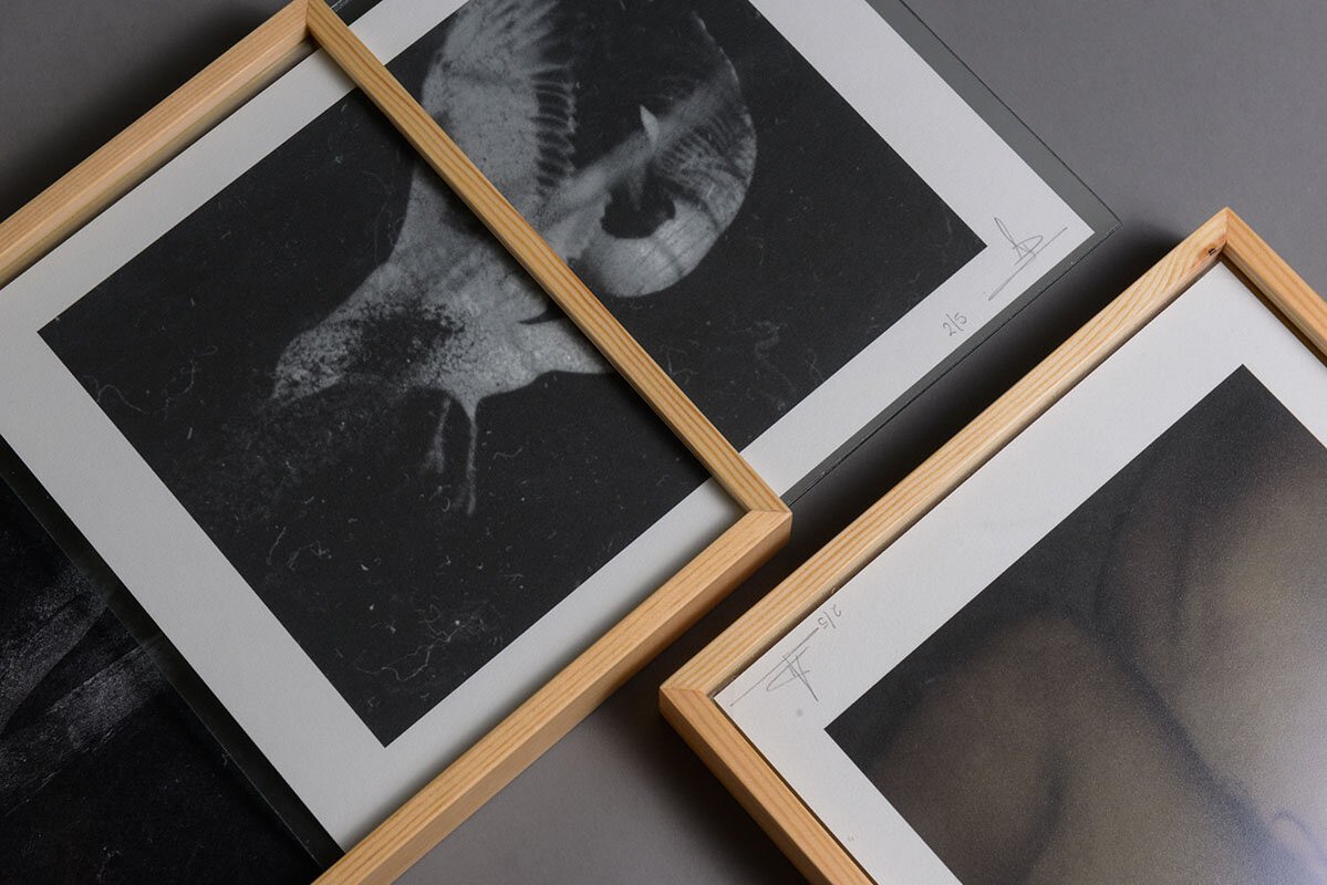 Mayflies book Dimitra Dede collector's edition