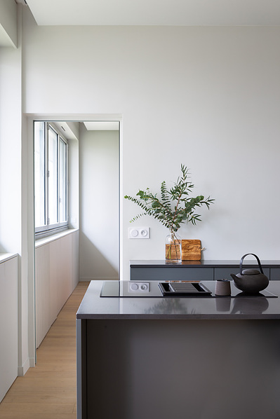 MASU Architects, Housing in Paris