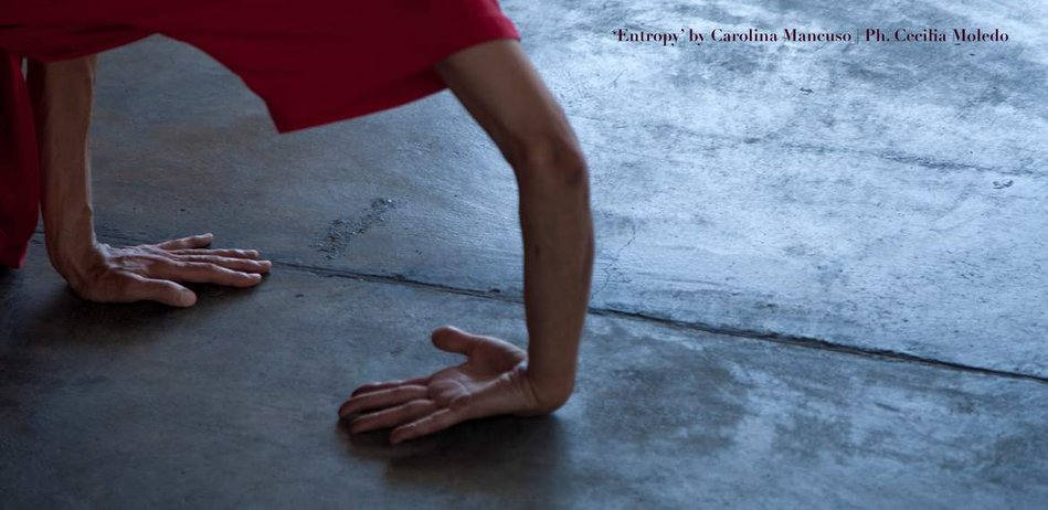 Carolina Mancuso: ENTROPY