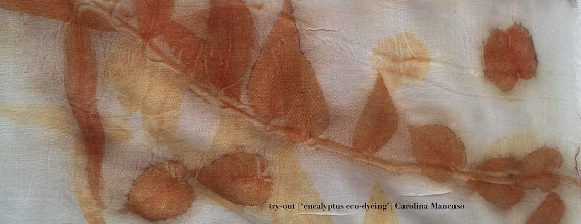 carolina mancuso eco dyeing