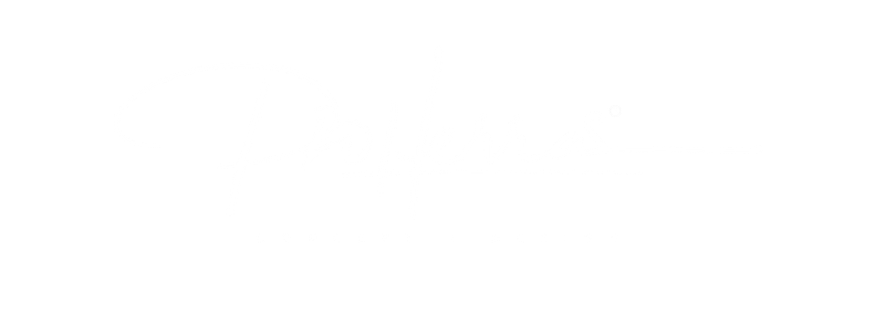 PIO HERRAS  |  Concept + Design™