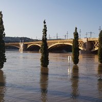 Margit bridge, seen from Pest side.

© Stefan Gonzalevski