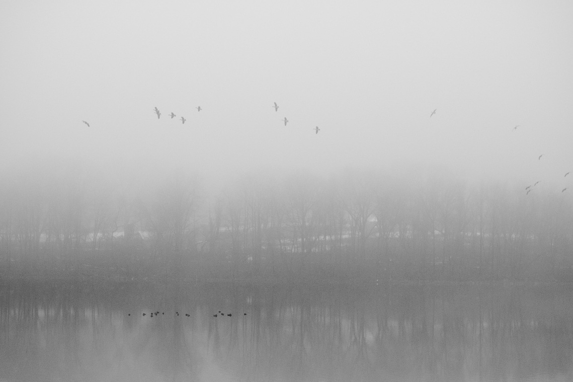 Silver Lake Park