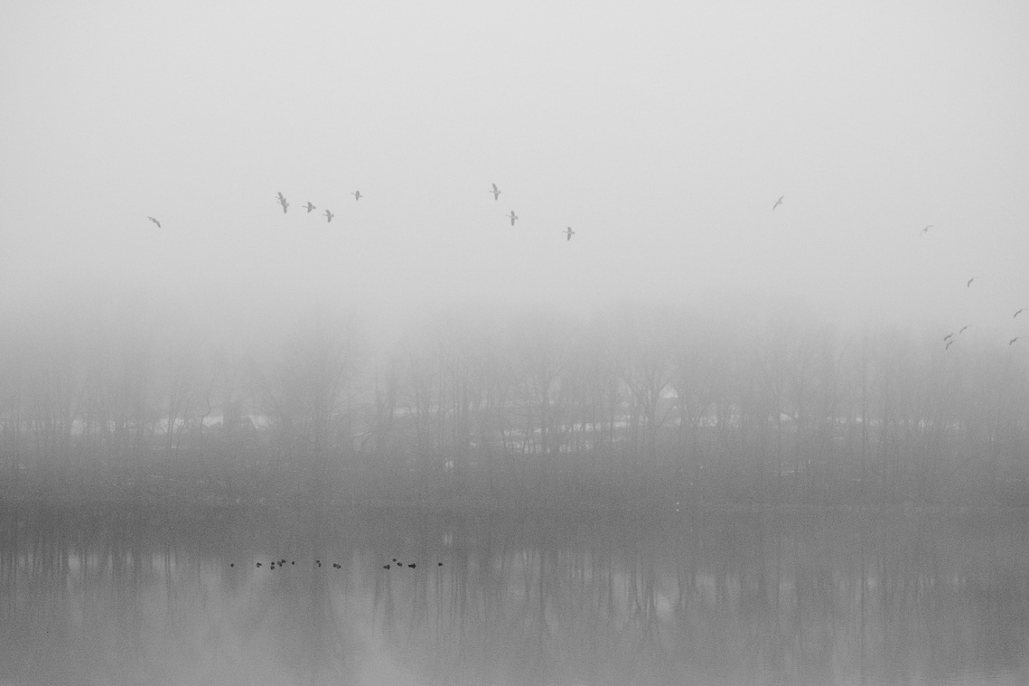 Silver Lake Park