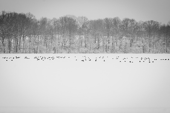 Silver Lake Park
