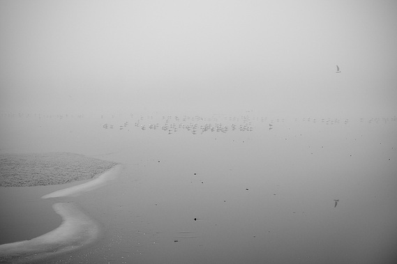 Silver Lake Park