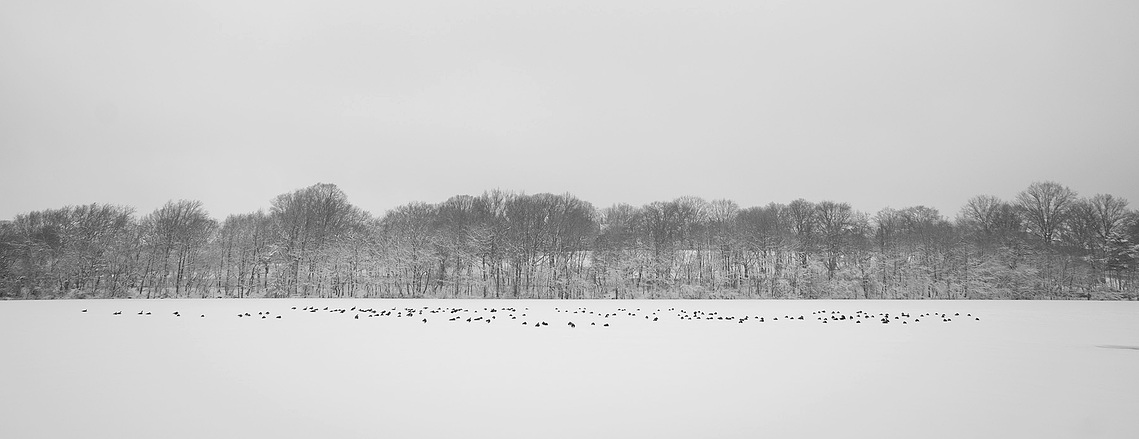 Silver Lake Park