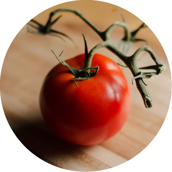 Ode to a Tomato