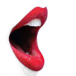 Joy Boushel, mymindwurx, creative, web design, concepts, book design, event concept, restaurant branding