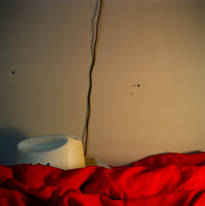 Shelby Orr Photography