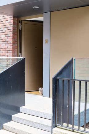 A cat peeps out of an open door.
