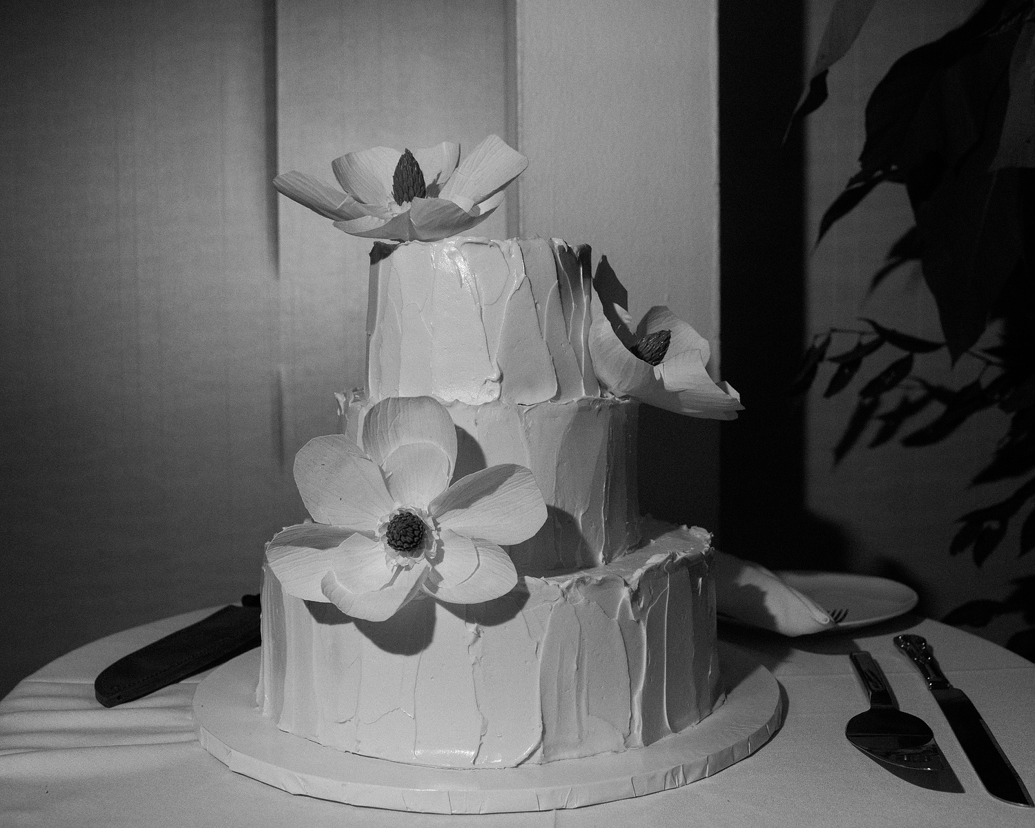 Brooklyn botanical gardens summer wedding reception. Wedding cake. Corey Torpie Wedding Photojournalism.