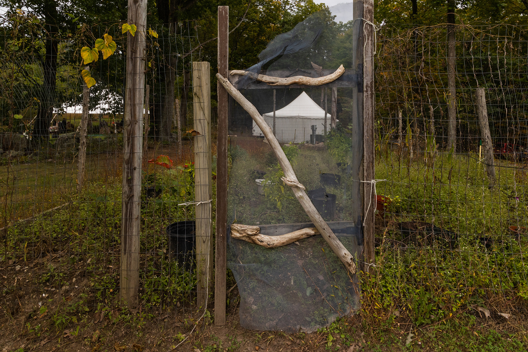Backyard wedding in new paltz, ny. Wedding photojournalism. Corey Torpie Photography. 