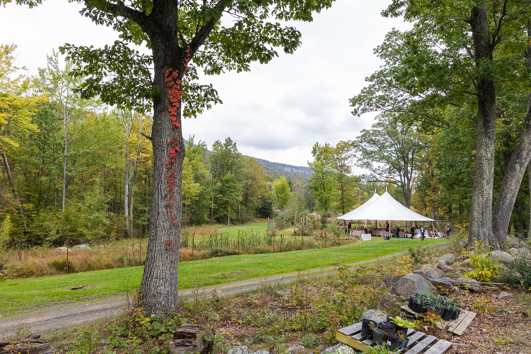 Backyard wedding in new paltz, ny. Wedding photojournalism. Corey Torpie Photography. 