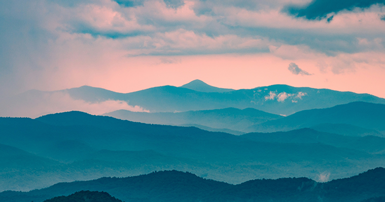 Photo by Bradley Allweil on Unsplash