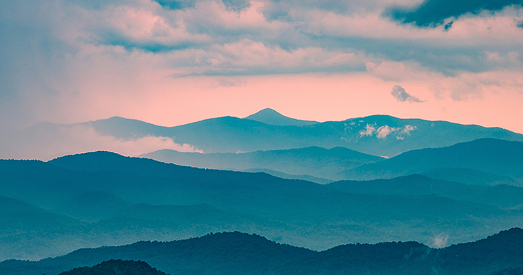 Photo by Bradley Allweil on Unsplash