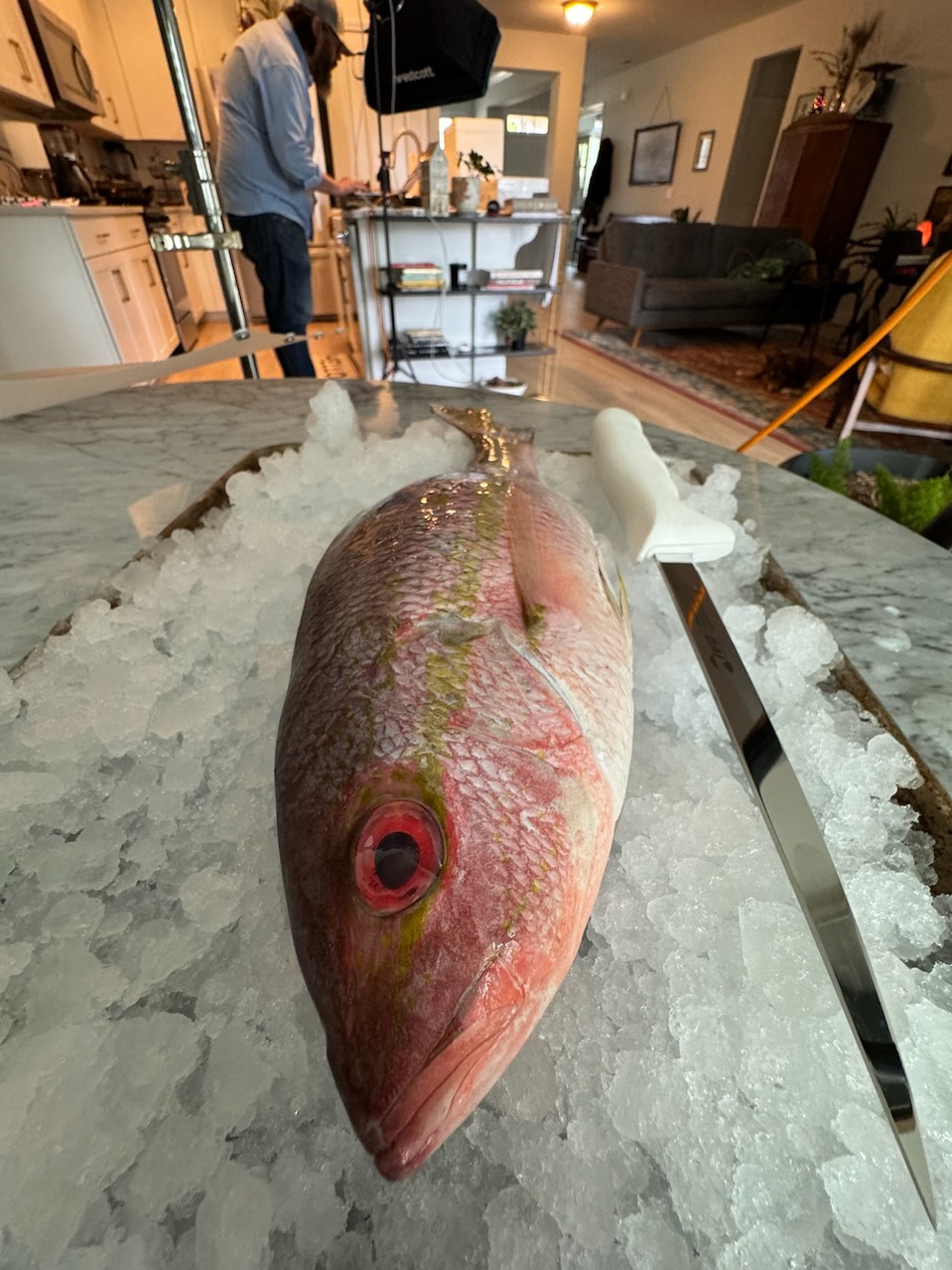 Commercial photo shoot of yellow-tailed snapper on ice with fillet knife