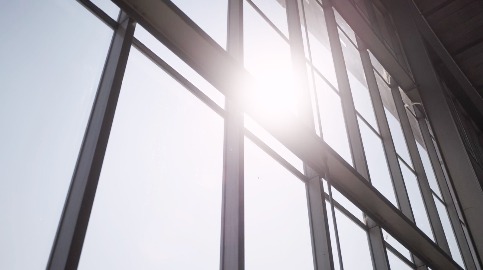 RAI Europhal sun through glass