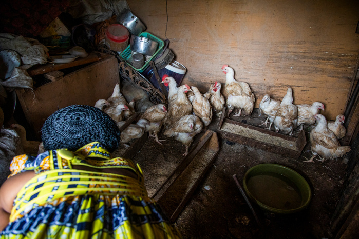 Before loosing her sight she used to work as an administrative assistance in an office. Among the different income generative activities that she has put in place such as cocoa butter making and honey she also raises chickens to sell them. Eveline has a