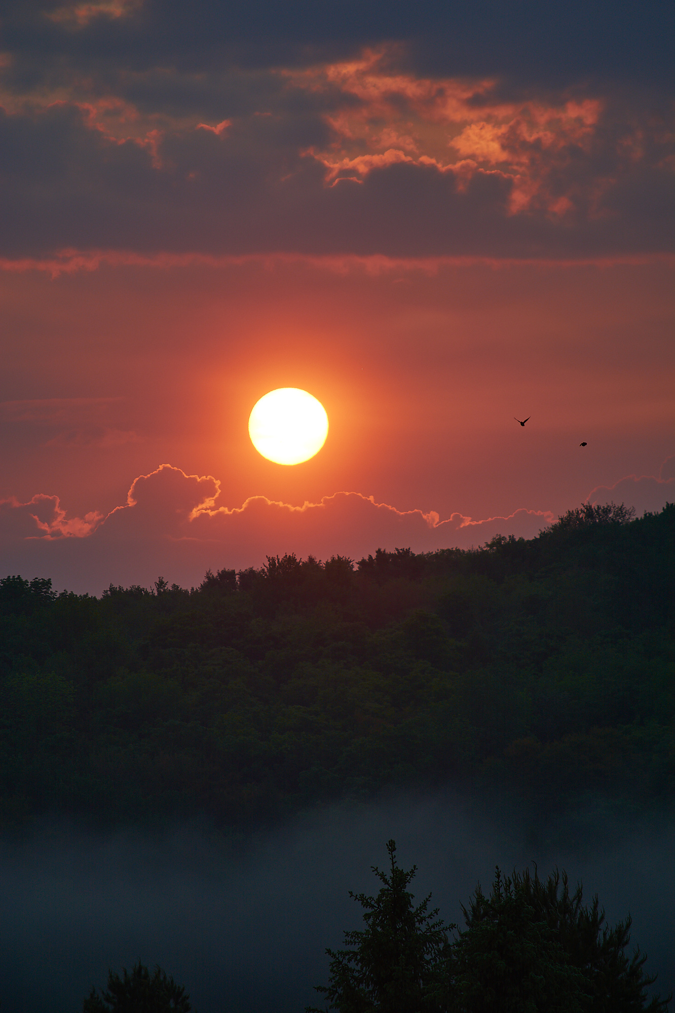 Landscape photo, colorful, sunrise, upstate New York, New Berlin, NY