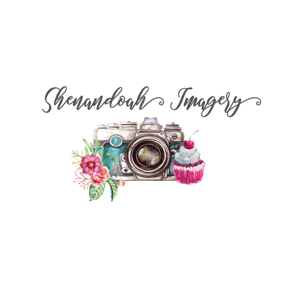 Charlottesville Restaurant Photographer