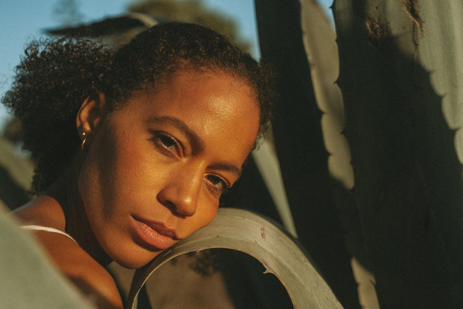 Close-up portrait of a beautiful black woman looking into the sun, her face is resting on an Agave plant.