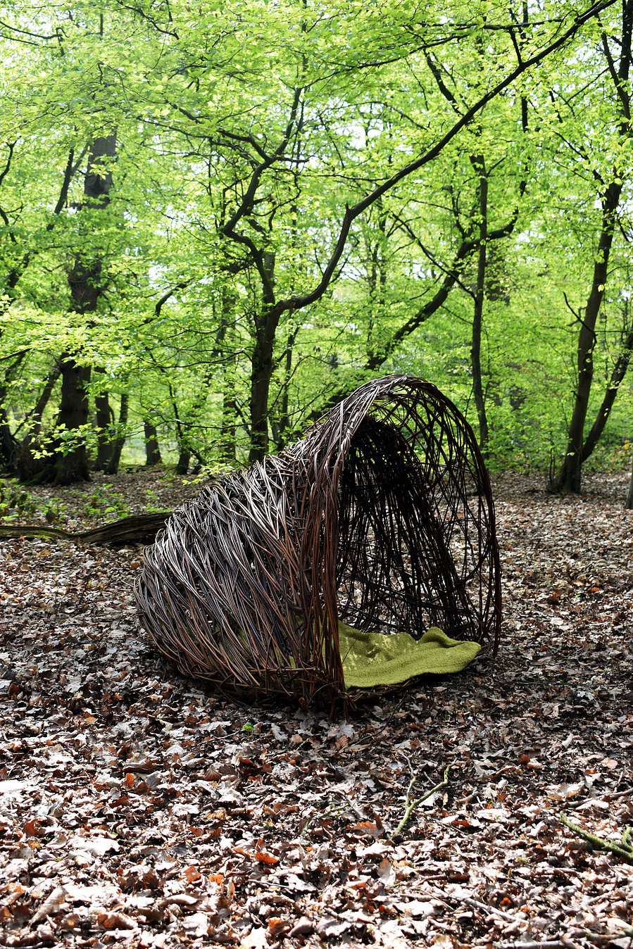 Nest in the woods