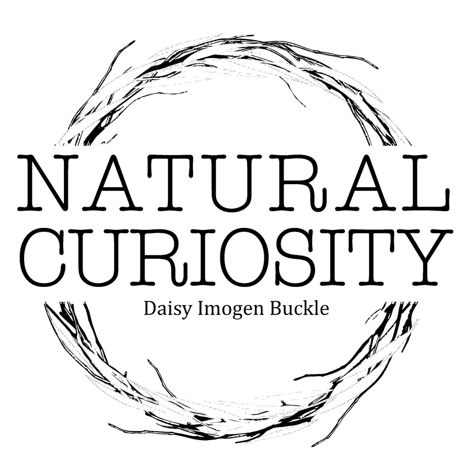 Natural Curiosity- For nature and people