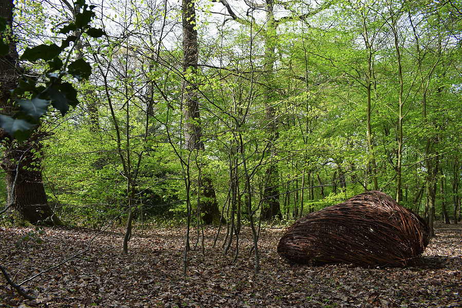 Nest in the woods
