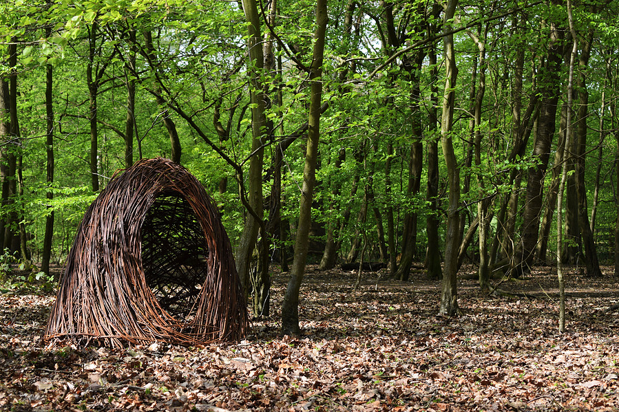 Nest in the woods