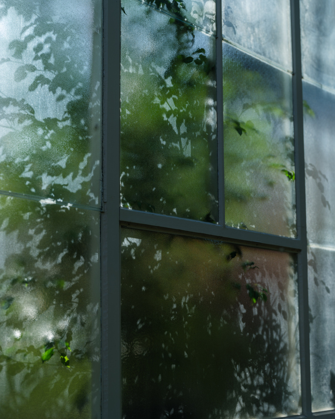 The outside of a greenhouse with plants pressing onto the glass inside.