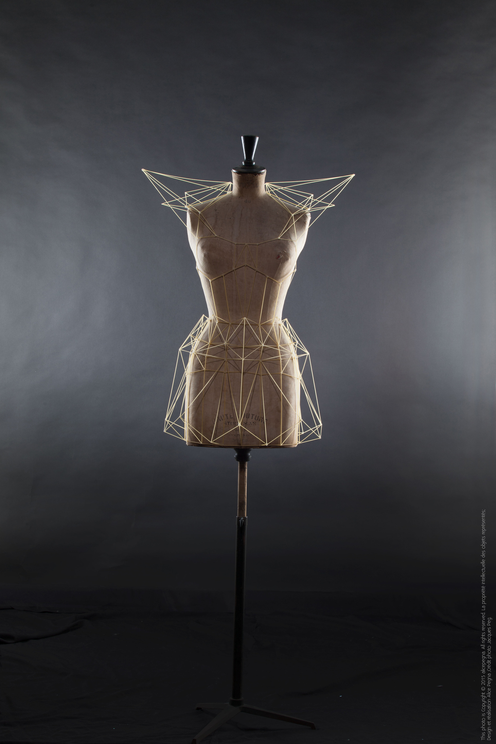 Dresses - Alice Pegna