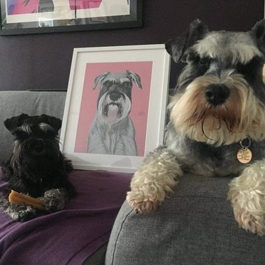 Testimonial, review, custom pet portrait, dog portraits, cat portrait, dog art, illustration, customer, customer review, Ryan Hodge, Woof Portraits.  Weimeraner, Schnauzer, Alsatian, 