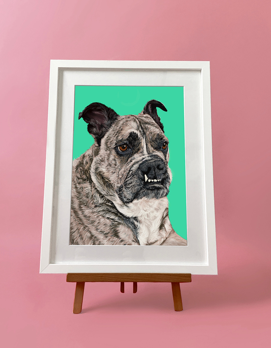 A framed portrait of Anya the rescue dog by Ryan Hodge of Woof Portraits in White frame with white mount.  She has a bright turquoise background. 