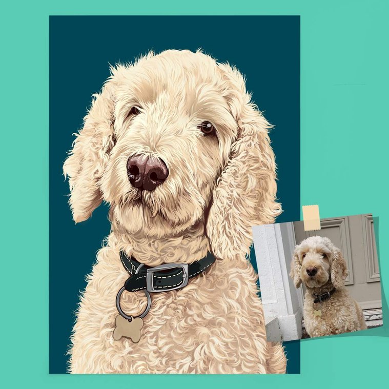 This is an unframed portrait of  Barney the blonde Labradoodle on a dark teal background by Woof Portraits.Next to the portrait is the photograph that was used as reference for the portrait. 