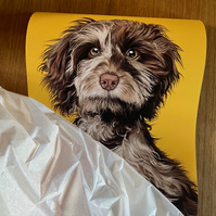 A print of Maze's custom pet portrait by Woof Portraits.  