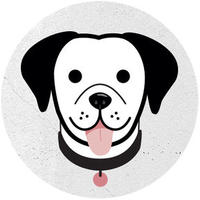 Dog-friendly accommodation in the UK. 