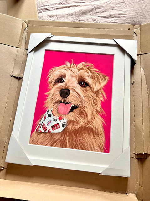 A framed custom pet portrait of Nacho the Norfolk terrier by Ryan Hodge of Woof Portraits.  He has a bright coral background and is in a white frame with white mount.  Four legged Foodies / Four legged social club.  Featured at Chelsea Dog Day 