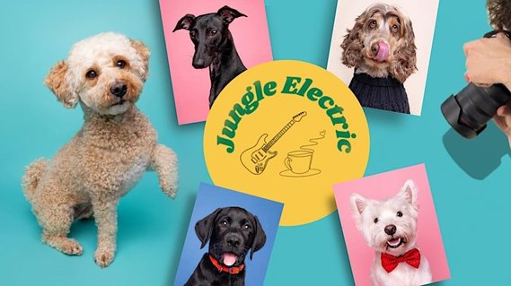 Jungle Electric advert for a pop-up dog photography event with Jonny the London Dog Photographer - Woof Photography. Features examples of a cockapoo, black whippet, spaniel, Highland terrier and Labrador on blue background. 