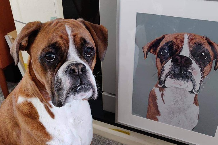 Testimonial, review, custom pet portrait, dog portraits, cat portrait, dog art, illustration, customer, customer review, Ryan Hodge, Woof Portraits. Boxer, Boxer dog, 
