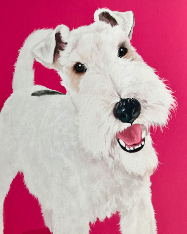 Custom Pet portrait by Woof Portraits featuring Bob the Fox Terrier. Physical fine art giclée print. 