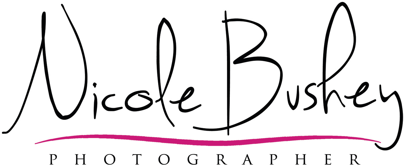 Connecticut Wedding and Portrait Photographer