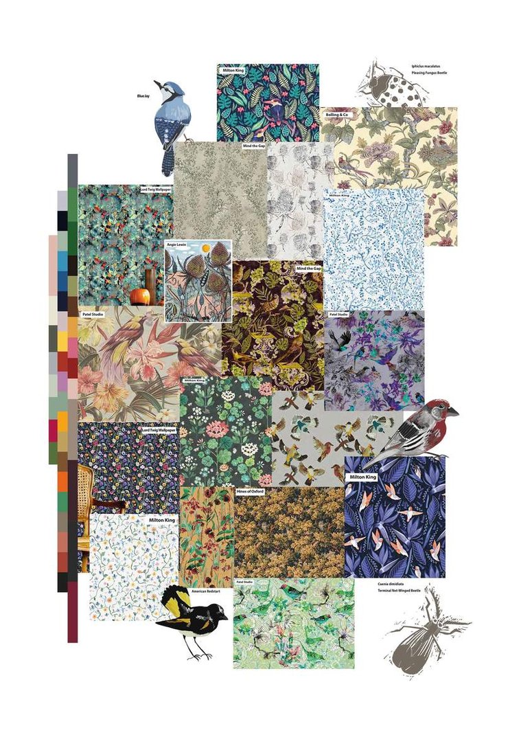 Leah Hanlon Concept Board