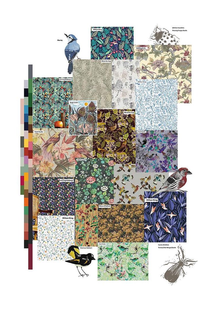 Leah Hanlon Concept Board