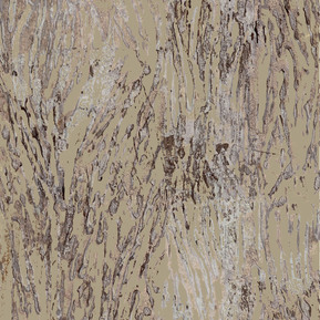 Sonia Sadaf Biscuit Texture Design