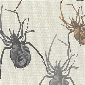 Beccie Hatton - Spiders