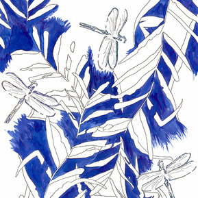 Beccie Hatton - Dragonfly