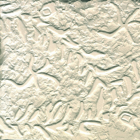 Beccie Hatton - Plant Carving