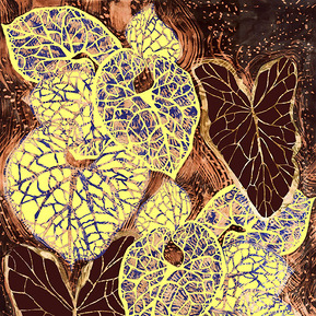 Beccie Hatton - Bleached Leaves